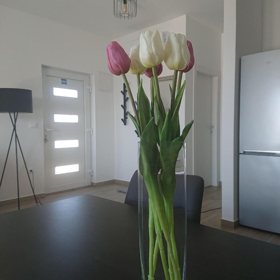Apartment Dora Primošten Buitenkant foto